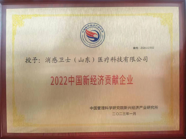 2022中国新经济贡献企业